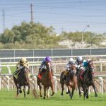 A Beginner’s Guide to UK Horse Racing Betting