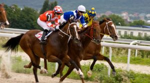 Understanding the Fundamentals of UK Horse Racing Betting