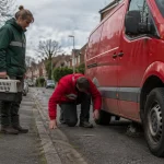 What Does This Incident Reveal About Animal Welfare and Royal Mail Operations
